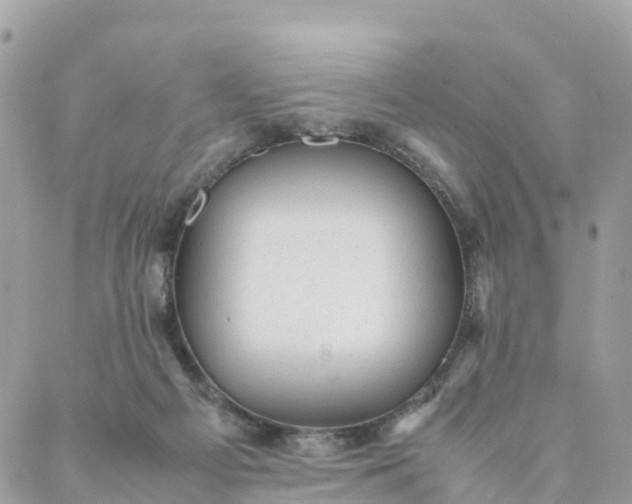 X0000087310121200705041659