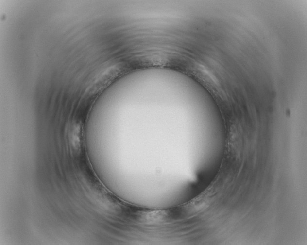 X0000087310122200705041659