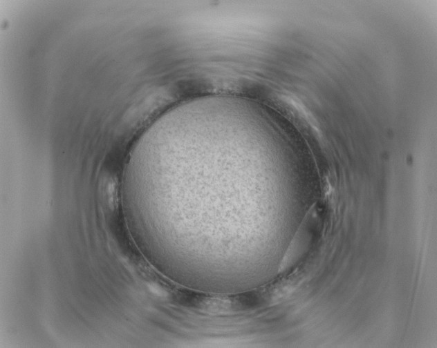 X0000087310123200705041659