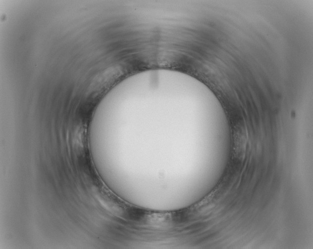 X0000087310126200705041659