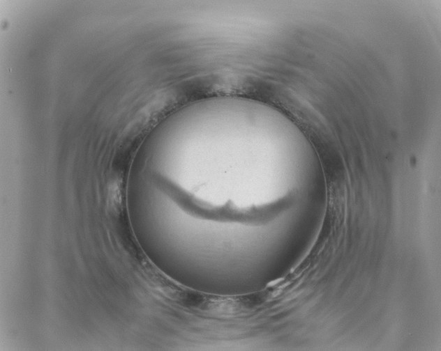 X0000087310127200705041659