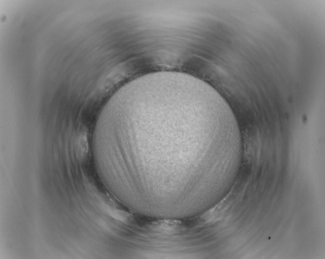 X0000087310128200705041659