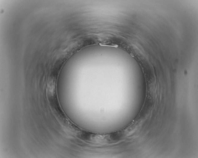 X0000087310129200705041659