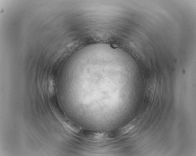 X0000087310130200705041659