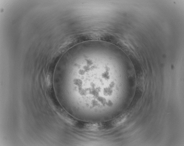 X0000087310131200705041659