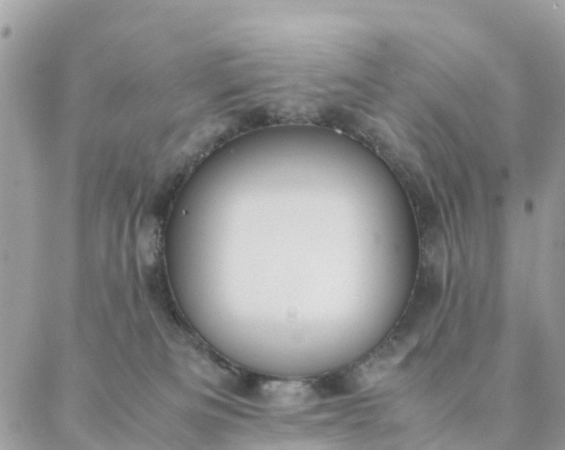 X0000087310133200705041659