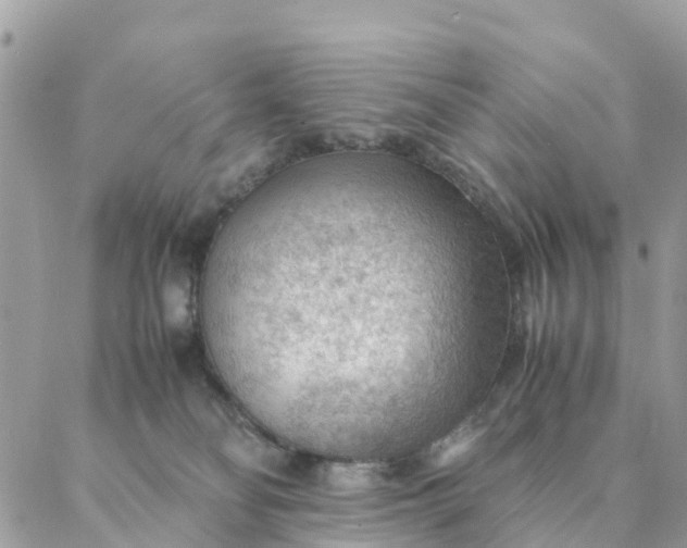 X0000087310134200705041659