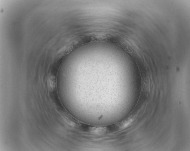 X0000087310135200705041659