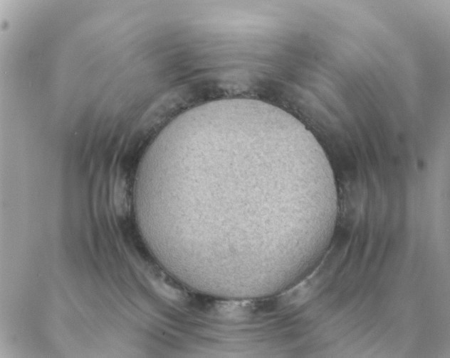 X0000087310136200705041659