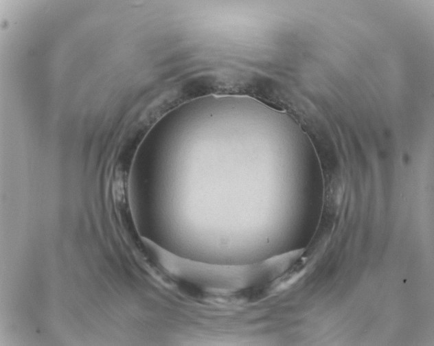 X0000087310137200705041659