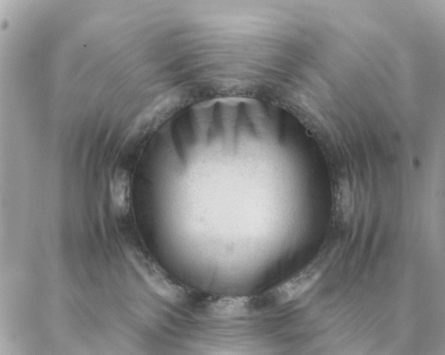 X0000087310138200705041659