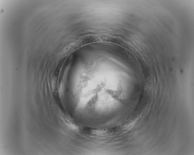 X0000087310139200705041659