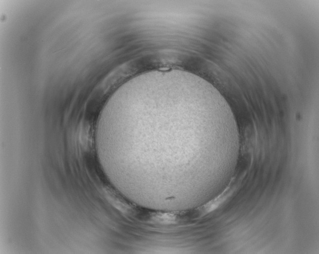 X0000087310140200705041659