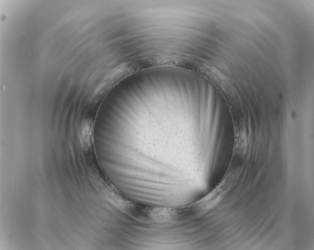 X0000087310142200705041659