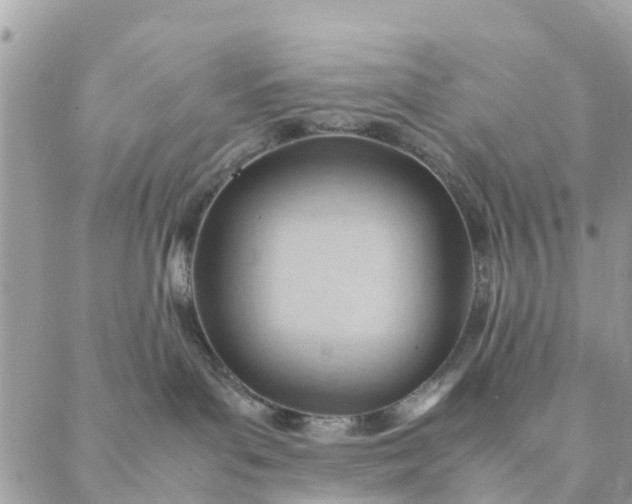 X0000087310143200705041659