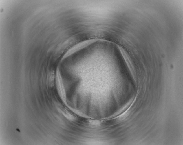 X0000087310144200705041659