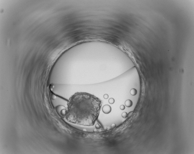 X0000087310145200705041658