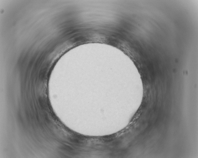 X0000087310146200705041658