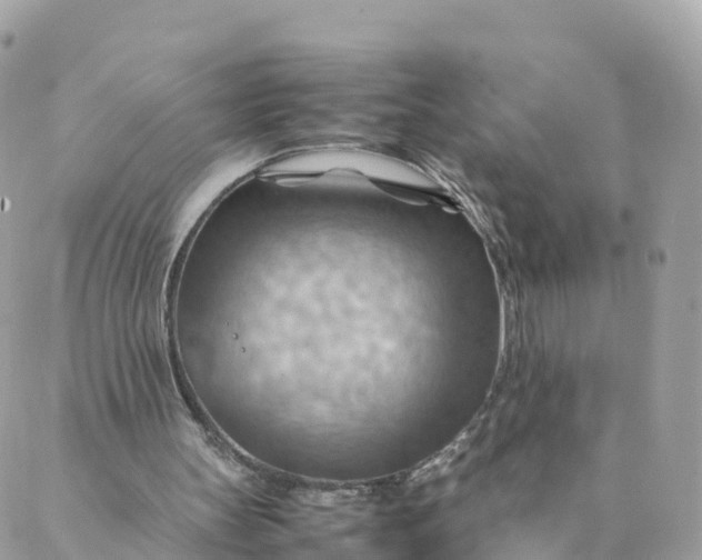 X0000087310147200705041658