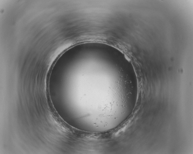 X0000087310148200705041658