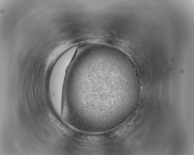 X0000087310149200705041658