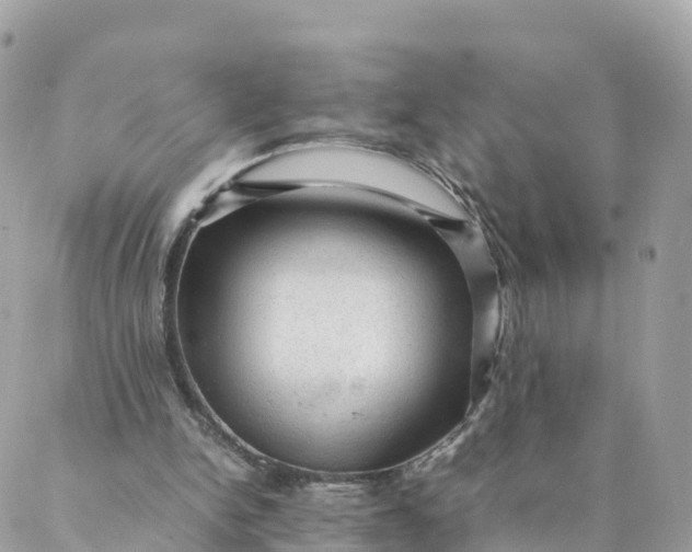 X0000087310150200705041658