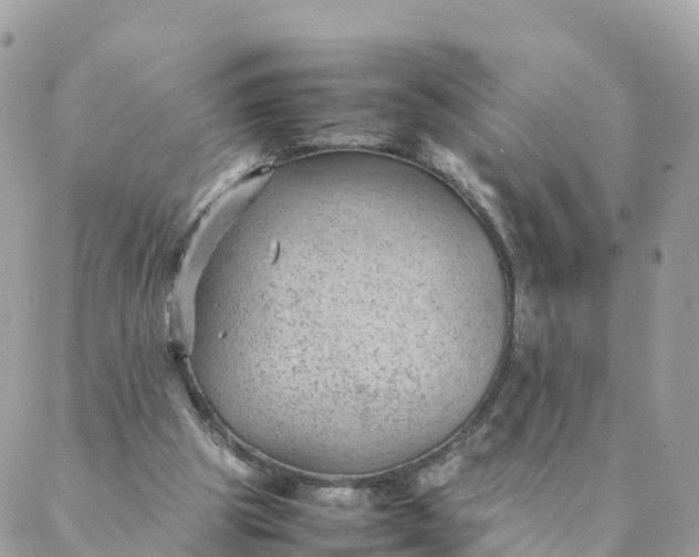 X0000087310153200705041658