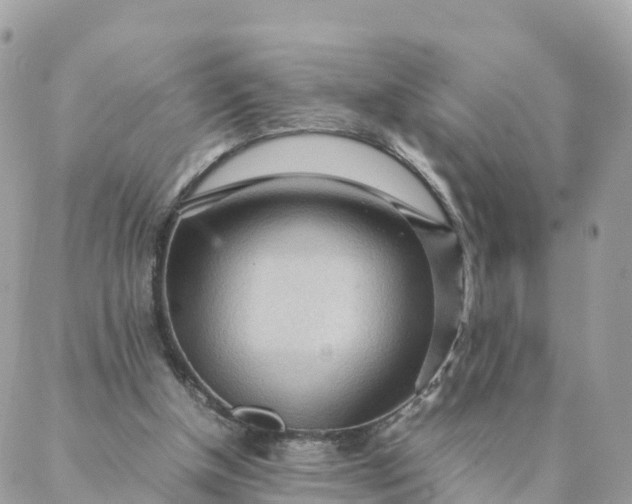 X0000087310154200705041658