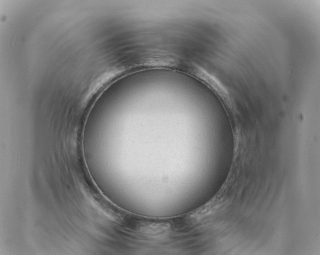 X0000087310155200705041658