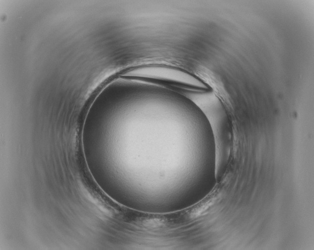 X0000087310156200705041658