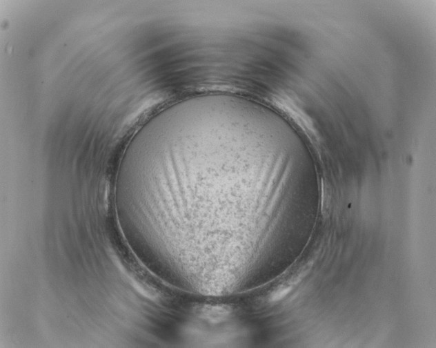 X0000087310157200705041658