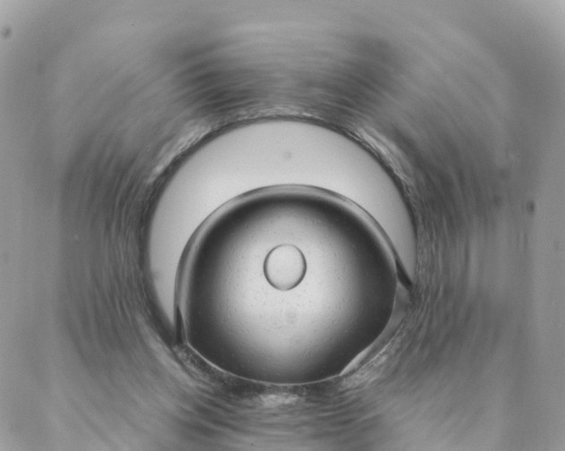 X0000087310158200705041658