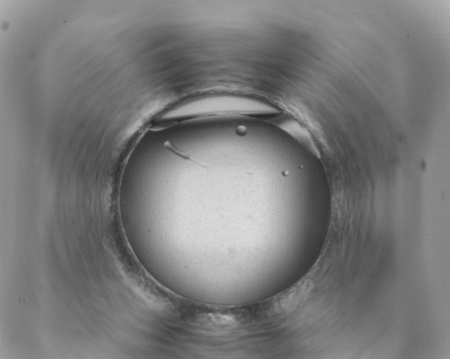 X0000087310159200705041658