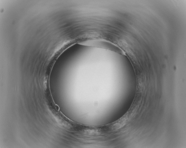 X0000087310160200705041658