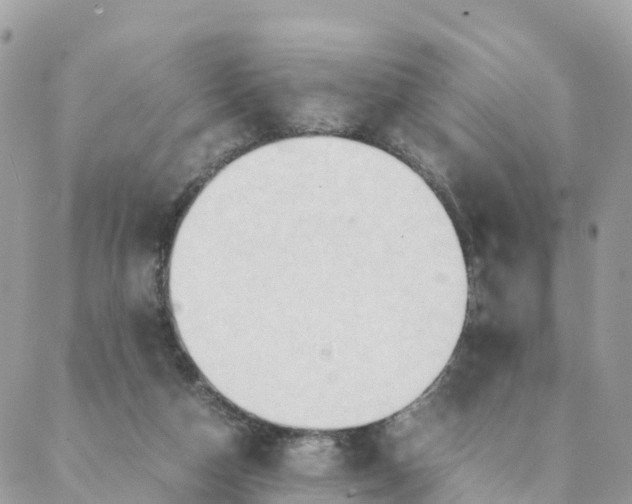 X0000087310162200705041658