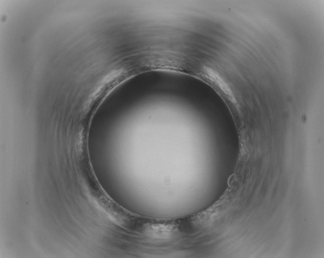 X0000087310163200705041658