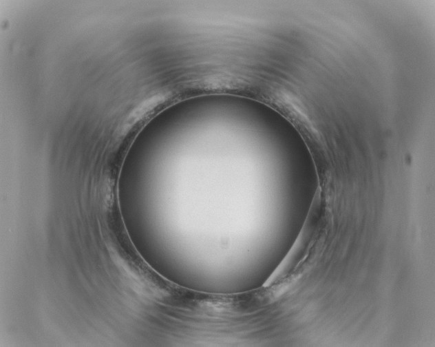 X0000087310164200705041658