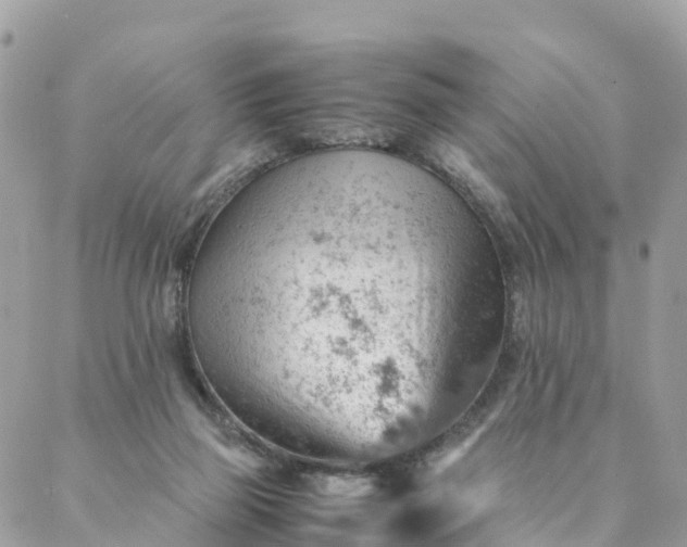 X0000087310165200705041658