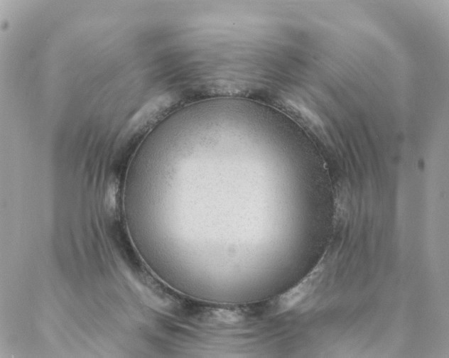 X0000087310166200705041658