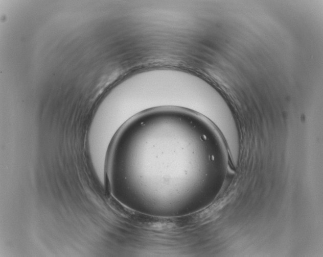 X0000087310168200705041658