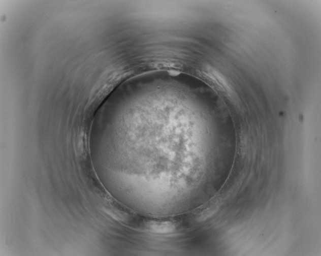 X0000087310169200705041658