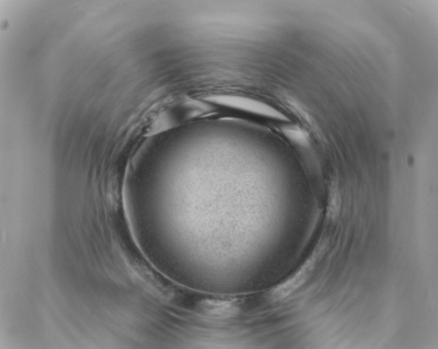 X0000087310170200705041658