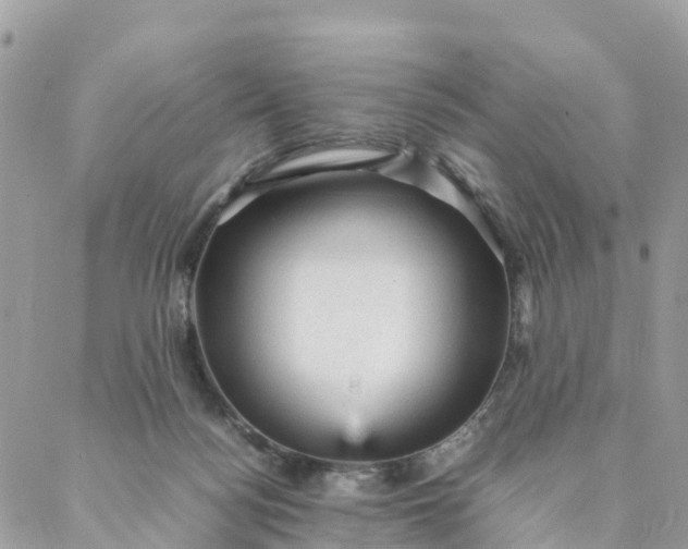 X0000087310172200705041658