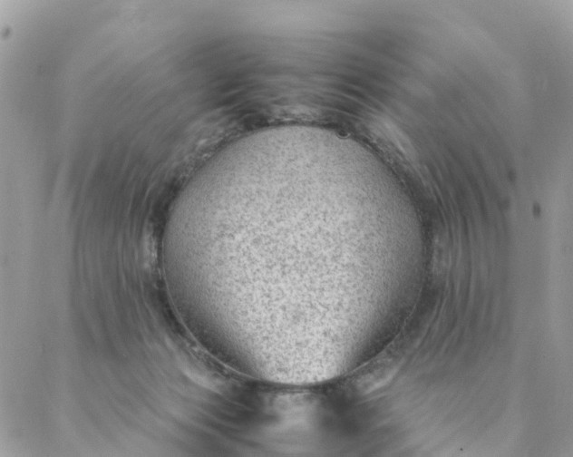 X0000087310173200705041658