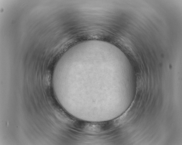 X0000087310174200705041658