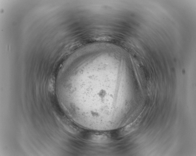 X0000087310175200705041658