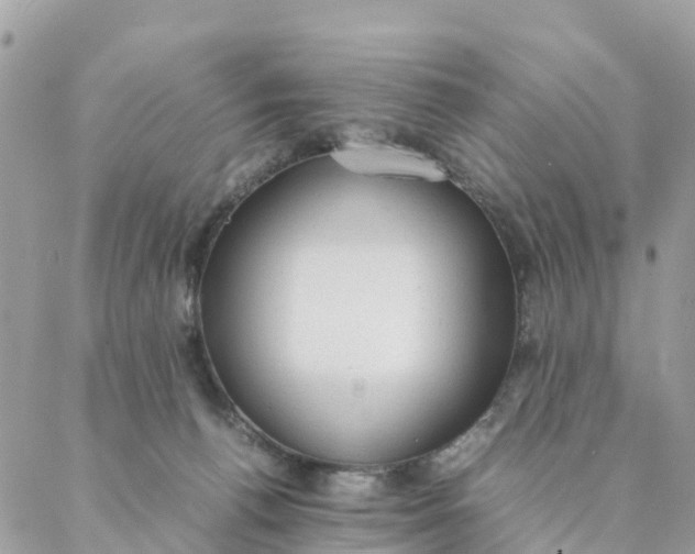 X0000087310176200705041658