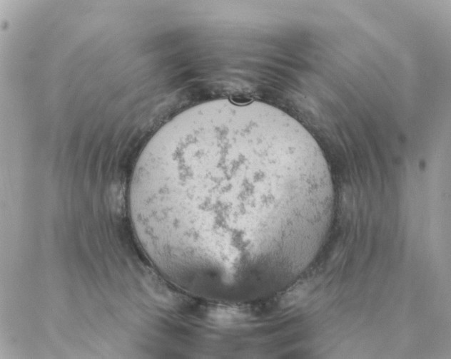 X0000087310177200705041658