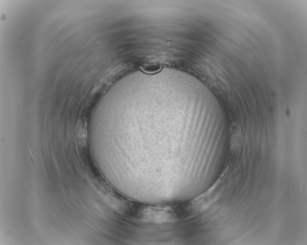 X0000087310179200705041658