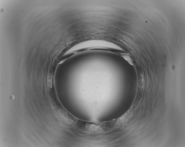 X0000087310180200705041658